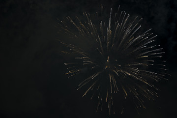 Bright fireworks against the night sky. Fireworks in the night sky.