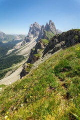 vue verticale sur les falaise des aiguilles d'une montagne des alpes italienne