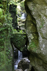 Tête de l'ours Gorges de Tolmin Slovénie