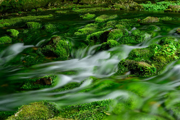 Beautiful long exposure shot of water stream among stones covered by green moss