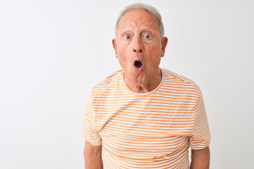 Senior grey-haired man wearing striped t-shirt standing over isolated white background afraid and...
