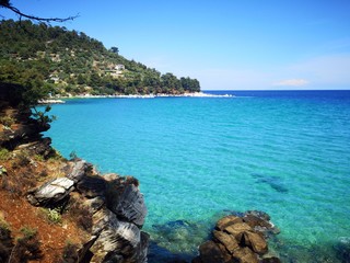 Exotic beach with green, emerald water color