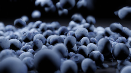 A closeup macro shot of a hand selected batch of fresh picked blueberries with a shallow depth of field as berries fall all around and tumble on the table where every individual blueberry is perfect