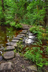 Fototapeta premium Stepping stones