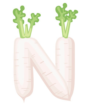 Vegetable letter N radish style cartoon vegetable design flat vector illustration isolated on white background