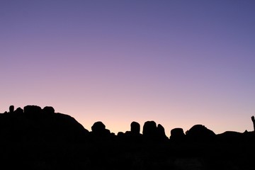  As night swallows the Mojave Desert sun, gorgeous formations by the Little San Bernardino Mountains in Joshua Tree National Park, and indigenous plants thereof, take on a silhouetted sentinel.