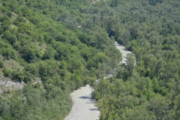 View of the forested valley and mountain river