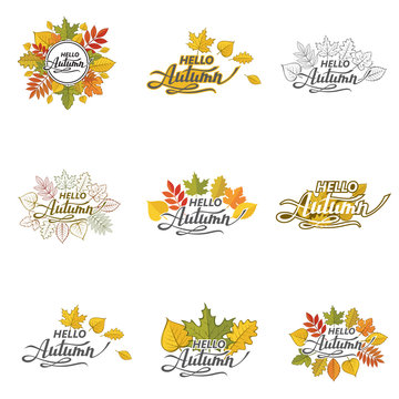 collection of hello autumn lettering pattern with woody leaves isolated on white background