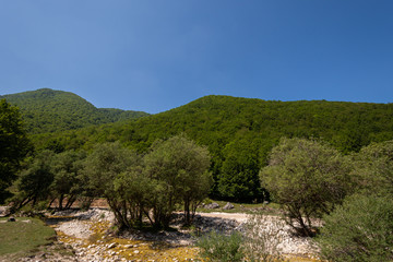Mountains of the National Park of Abruzzo, Lazio and Molise.  Val Fondillo. Wonderful summer...