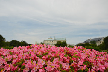 AUSTRIA -WIEDEŃ OGRODY- Gärten © jaceka
