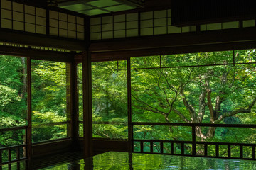 Refreshing summer in Kyoto,Japan