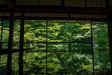 Refreshing summer in Kyoto,Japan