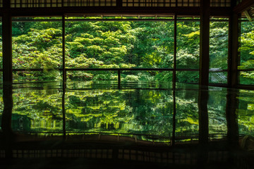 Naklejka premium Refreshing summer in Kyoto,Japan