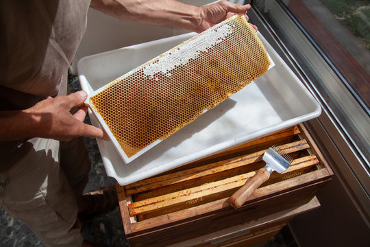 Support à Miel En Nid D'abeille Inox - Présentoir Réglable Pour Restaurant, Apiculture, Dégustation - 3