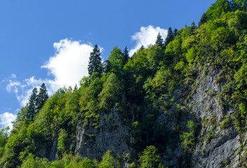 Natural landscape with mountains and forests against the sky.