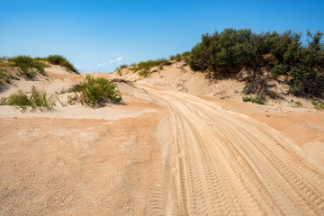 Semi-desert landscape with tire traces on sand