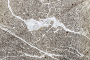 Natural stone texture closeup. Selective focus.