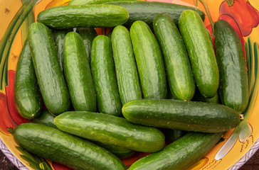 fresh cucumbers in the market