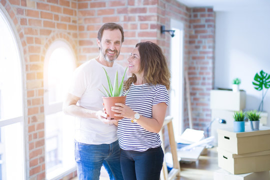 Middle age senior romantic couple holding aloe vera plant smiling happy for moving to a new house