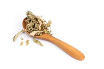 Dried Stevia rebaudiana leaves isolated on white background