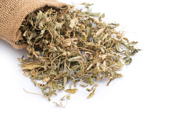 Dried Stevia rebaudiana leaves isolated on white background