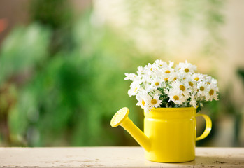 Yellow watering can in a garden