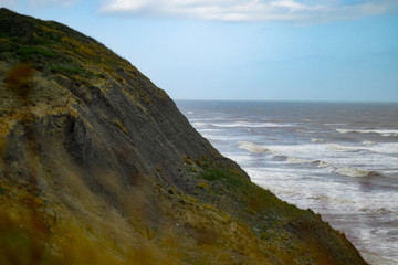 Dorset