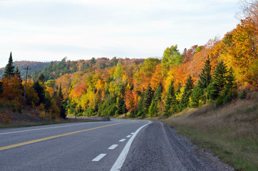 Trans Canada Highway
