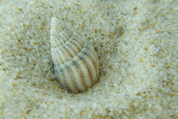 Beach macro textures