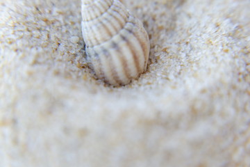 Beach macro textures