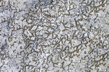 Natural stone texture closeup. Selective focus.