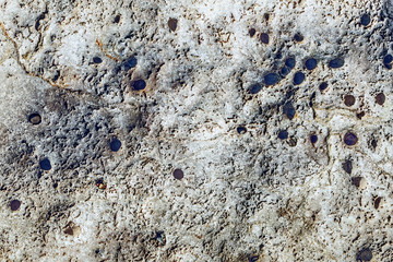 Natural stone texture closeup. Selective focus.