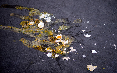 Broken testicles on the pavement.