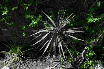 Green nature © BELEN.GM