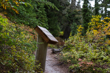 Trailhead in the forest