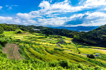 土谷の棚田