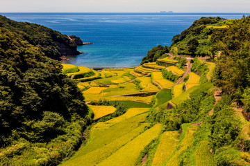 浜野浦の棚田
