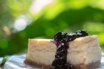 piece of Blueberry cake