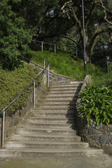 concrete stairs in a parc