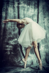 professional ballet dancer