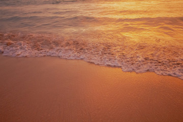 beach during sunset on the pink color