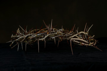 Crown of Thorns Over Dark Background