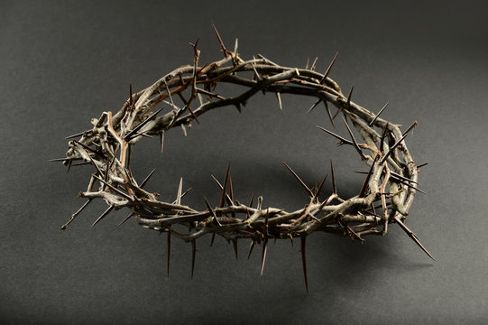 Crown of Thorns Over Neautral Background
