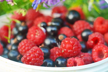 Full jar filling of black currant berries and fresh natural red juicy sweet ripe raspberry under wild flowers on bright summer natural floral background. Macro, selective focus