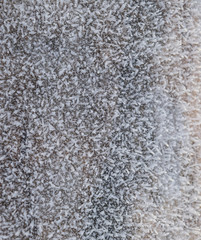 Hoarfrost on tree trunk surface