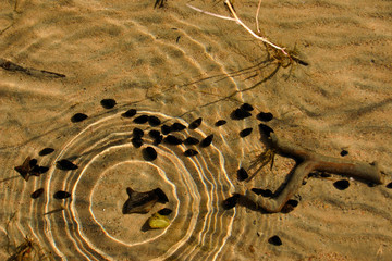 Sandy bottom in shallow water.
