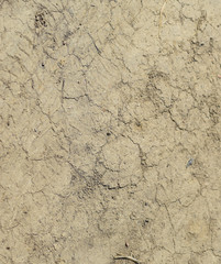The soil on a dirt road