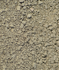 The soil on a dirt road