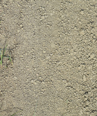 The soil on a dirt road
