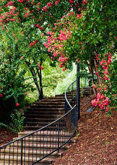 Finlay Park Columbia,SC